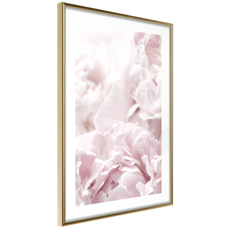 Wall gallery pictures Pink peonies 129311 additionalImage 3