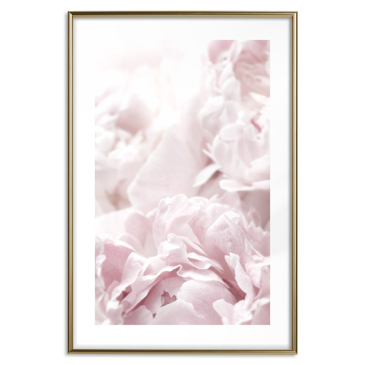 Wall Poster Fluffy peonies - botanical composition with flowers with pink petals 115010 additionalImage 18