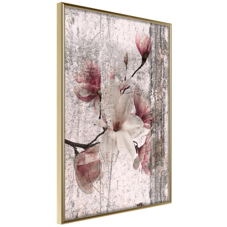 Wall Poster Memorial Magnolia - botanical composition with vintage-style flowers 118610 additionalImage 12