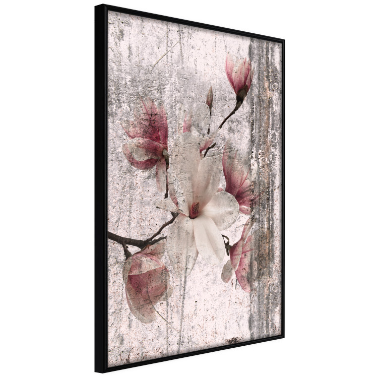 Wall Poster Memorial Magnolia - botanical composition with vintage-style flowers 118610 additionalImage 10