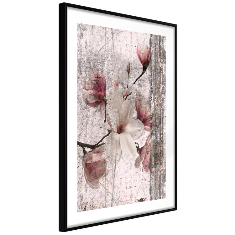 Wall Poster Memorial Magnolia - botanical composition with vintage-style flowers 118610 additionalImage 11