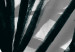 Canvas Print Leafy shadows - gray plant elements with black shadows 119010 additionalThumb 5