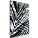Canvas Print Leafy shadows - gray plant elements with black shadows 119010 additionalThumb 2