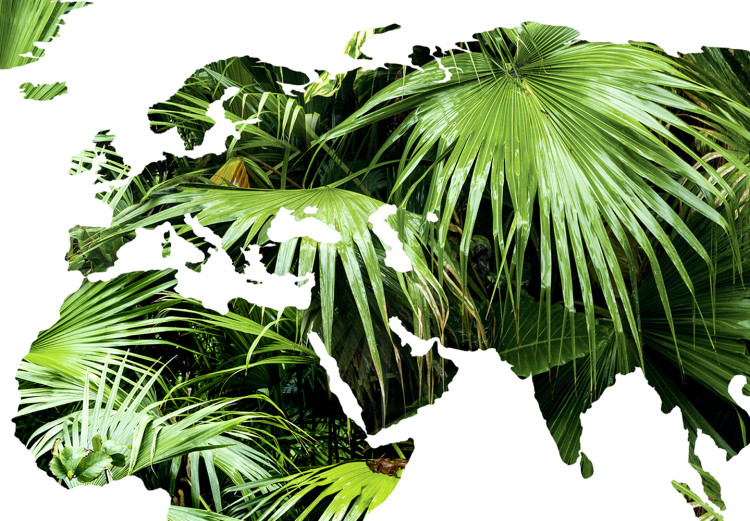 Poster The World is a Jungle - text under a tropical world map on a white background 125410 additionalImage 9