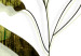 Canvas Olive Twig (1 Part) Vertical 126810 additionalThumb 4