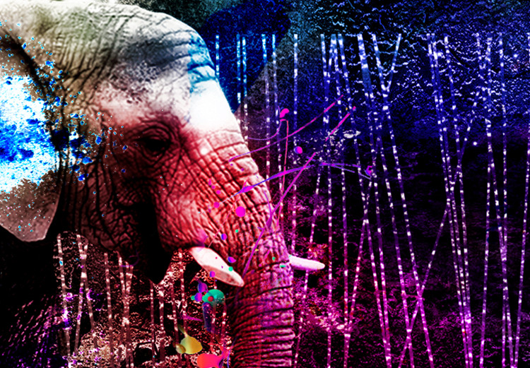 Canvas Art Print Colorful Elephants (1 Part) Wide 128410 additionalImage 4