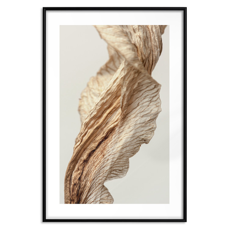Poster Sunny Turn - plant composition in spiral form on a white background 130510 additionalImage 15