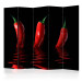 Room Divider Screen Chili Pepper II (5-piece) - three fiery vegetables on water background 133310