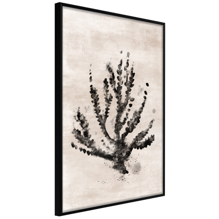 Poster Sea Plant - black plant composition on a beige textured background 134510 additionalImage 13