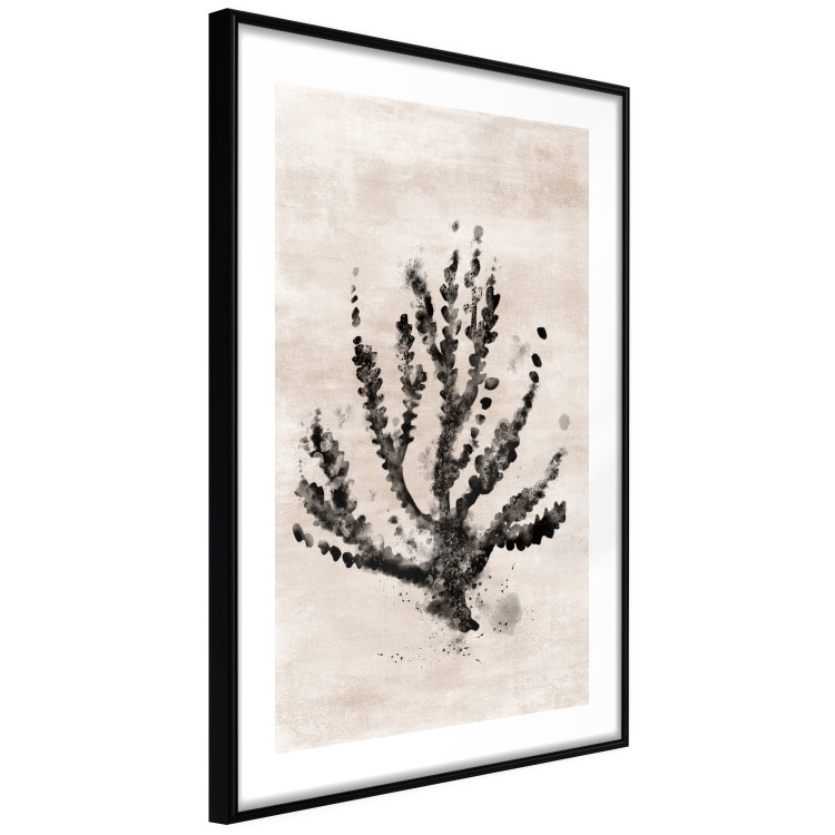 Poster Sea Plant - black plant composition on a beige textured background 134510 additionalImage 9