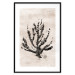 Poster Sea Plant - black plant composition on a beige textured background 134510 additionalThumb 15