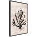 Poster Sea Plant - black plant composition on a beige textured background 134510 additionalThumb 13