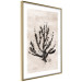 Poster Sea Plant - black plant composition on a beige textured background 134510 additionalThumb 10