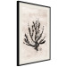 Poster Sea Plant - black plant composition on a beige textured background 134510 additionalThumb 3