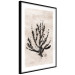 Poster Sea Plant - black plant composition on a beige textured background 134510 additionalThumb 7
