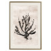Poster Sea Plant - black plant composition on a beige textured background 134510 additionalThumb 20