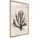 Poster Sea Plant - black plant composition on a beige textured background 134510 additionalThumb 12