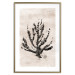 Poster Sea Plant - black plant composition on a beige textured background 134510 additionalThumb 14