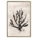 Poster Sea Plant - black plant composition on a beige textured background 134510 additionalThumb 17