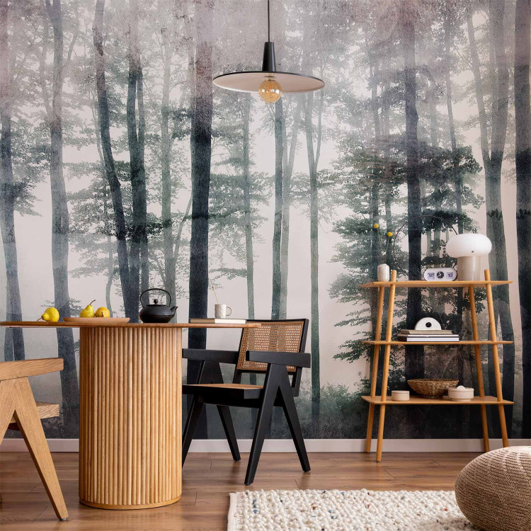Wall Mural Misty forest landscape - landscape of tall forest trees in fog 137410 additionalImage 4