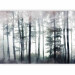 Wall Mural Misty forest landscape - landscape of tall forest trees in fog 137410 additionalThumb 5