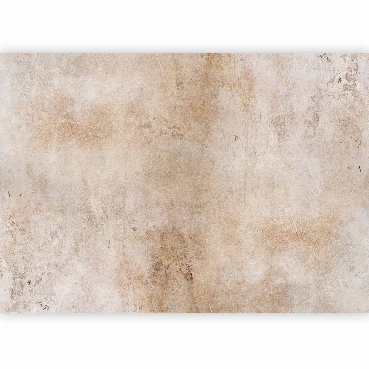 Wall Mural Light etude - background with raw concrete texture in warm tones 143810 additionalImage 1