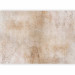 Wall Mural Light etude - background with raw concrete texture in warm tones 143810 additionalThumb 5