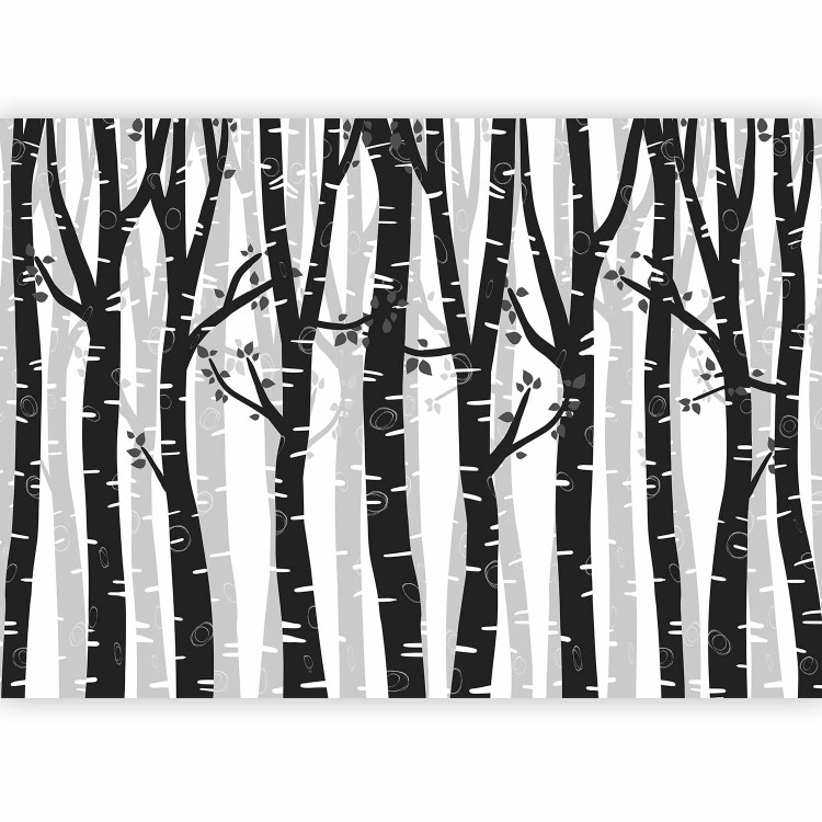 Wall Mural Birch forest - landscape of grey and white trees in a forest with grey leaves 145110 additionalImage 1