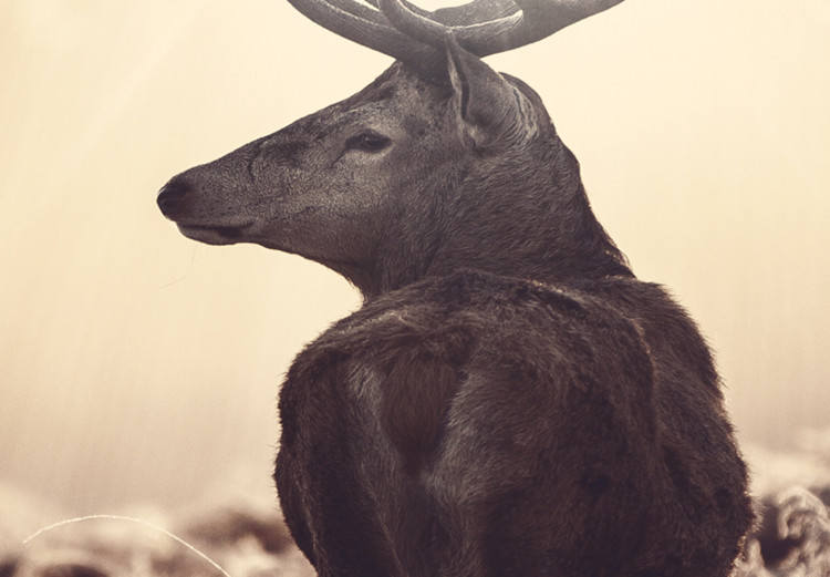 Large canvas print Stag in the Wilderness II [Large Format] 149110 additionalImage 4