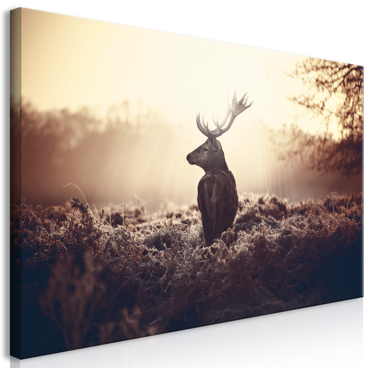 Large canvas print Stag in the Wilderness II [Large Format] 149110 additionalImage 2