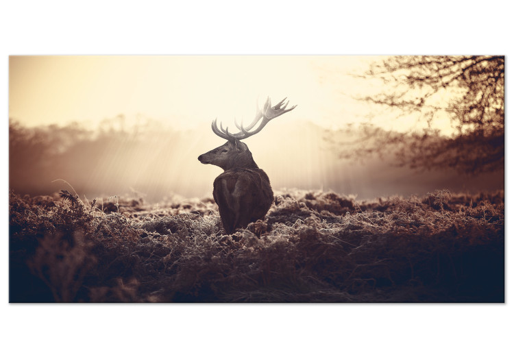 Stag Deer Sunset Autumn Forest Canvas Wall Art Animal Picture Print