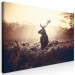 Large canvas print Stag in the Wilderness II [Large Format] 149110 additionalThumb 2
