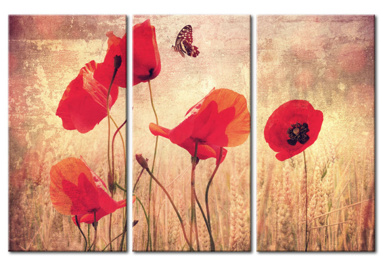 Canvas Print Vintage poppies 58510