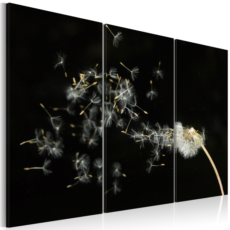 Canvas Dandelions- the transience 58610 additionalImage 2