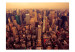 Wall Mural Bird's Eye View of Manhattan - New York Architecture in Gentle Sunlight 61510 additionalThumb 1