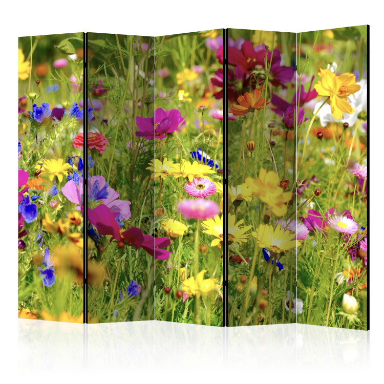 Room Separator Summer Flowers II - colorful flowers on a green meadow on a sunny day 97010