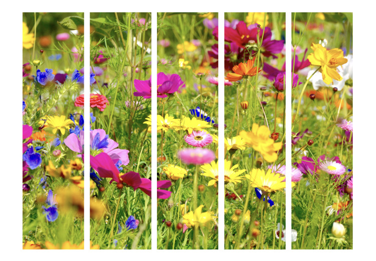 Room Separator Summer Flowers II - colorful flowers on a green meadow on a sunny day 97010 additionalImage 3