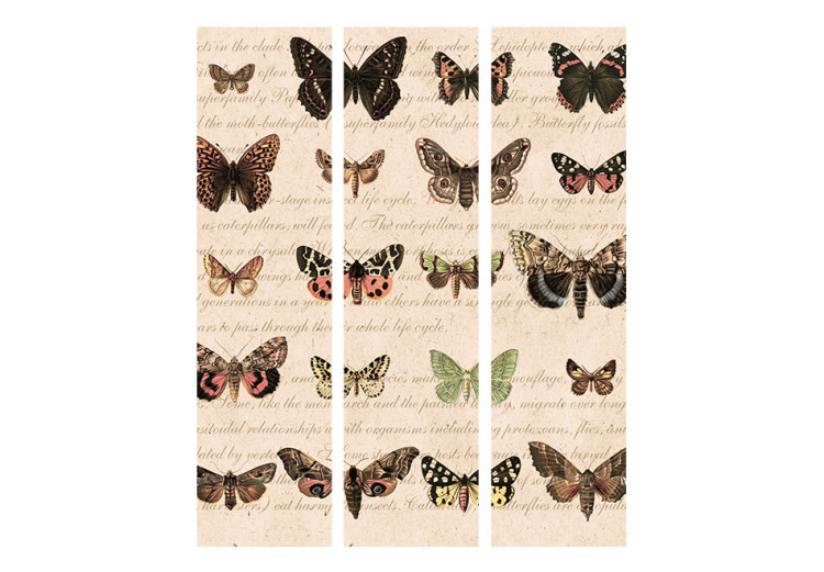 Room Separator Retro Style: Butterflies - colorful butterflies on old paper with writings 97910 additionalImage 3