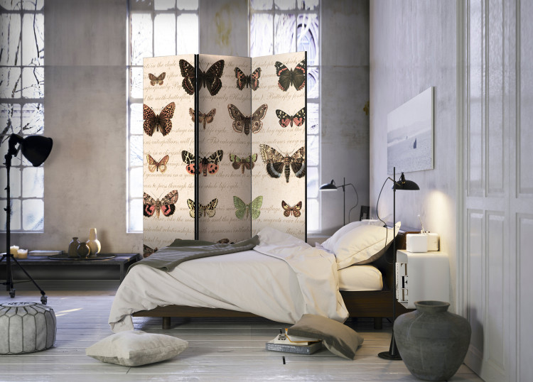 Room Separator Retro Style: Butterflies - colorful butterflies on old paper with writings 97910 additionalImage 2