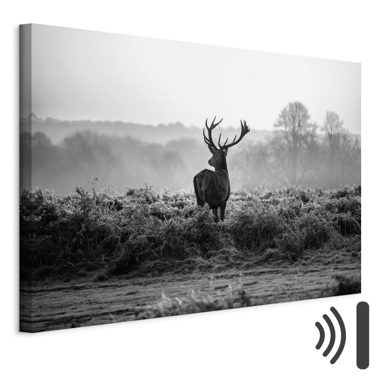 Canvas Deer in the Wild 106020 additionalImage 8