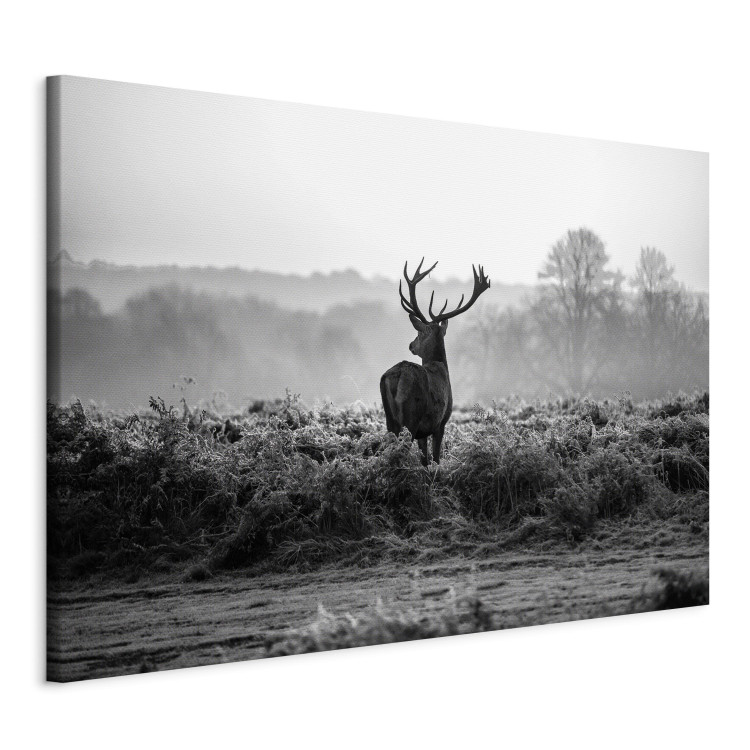 Canvas Deer in the Wild 106020 additionalImage 2