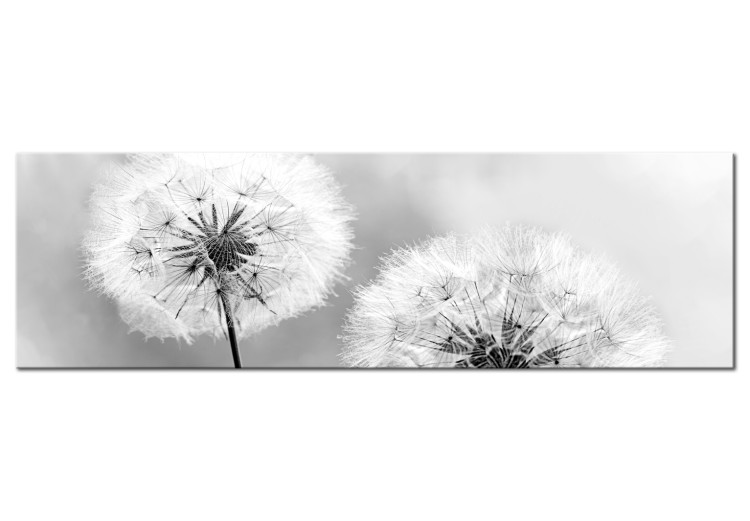 Canvas Midsummer (1-piece) - Black and White Dandelions on Summer Day 106220