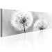 Canvas Midsummer (1-piece) - Black and White Dandelions on Summer Day 106220 additionalThumb 2
