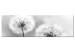 Canvas Midsummer (1-piece) - Black and White Dandelions on Summer Day 106220