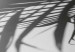 Wall Poster Twig shadow - geometric abstraction with a palm leaf and green hue 115120 additionalThumb 10
