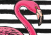 Poster Black Stripes and Flamingo - text and pink bird on a background of horizontal stripes 115320 additionalThumb 9