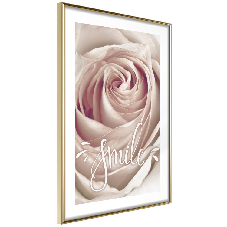 Poster Smile! - light pink rose flower and white English text 116520 additionalImage 8