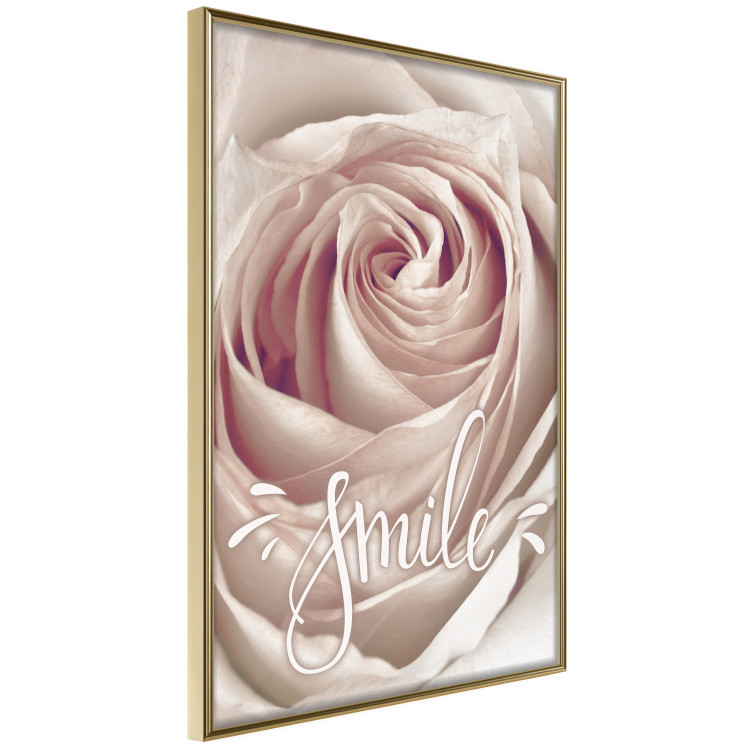 Poster Smile! - light pink rose flower and white English text 116520 additionalImage 14