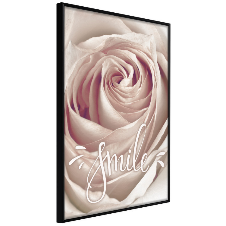 Poster Smile! - light pink rose flower and white English text 116520 additionalImage 12