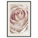 Poster Smile! - light pink rose flower and white English text 116520 additionalThumb 18